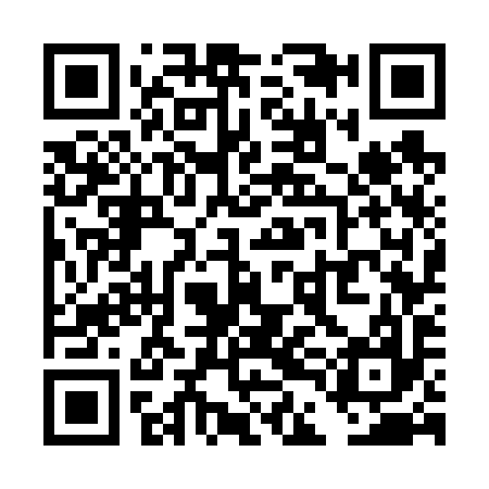 QR code for TDG697