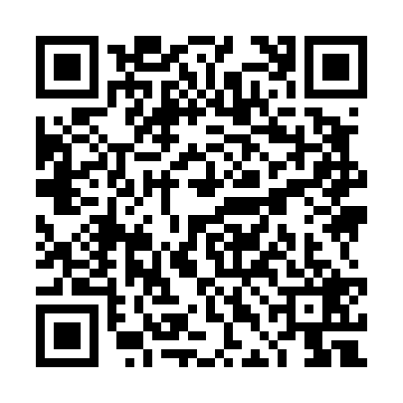 QR code for TDI4299