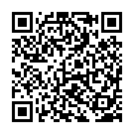 QR code for TDZ218