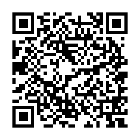 QR code for TIE2987