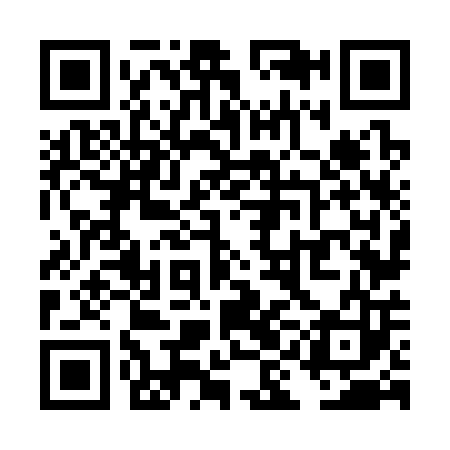 QR code for TIN303