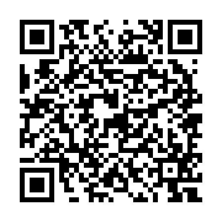 QR code for TIZ2973