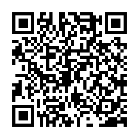 QR code for TLX2383