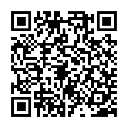 QR code for TNS2483