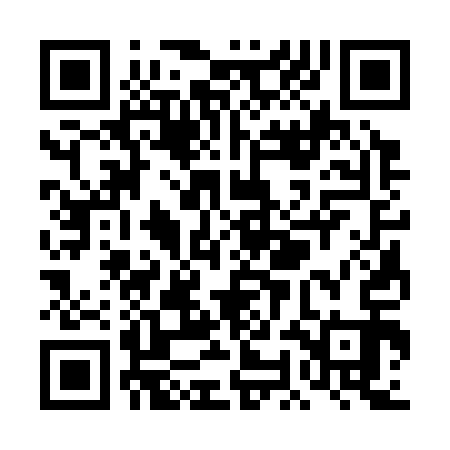 QR code for TOC313