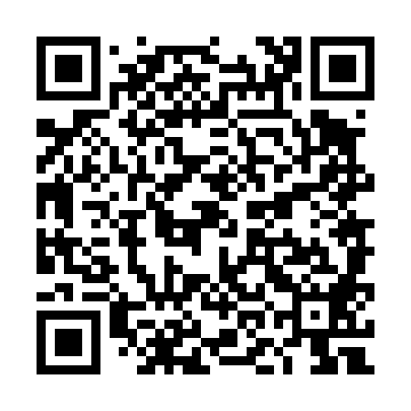 QR code for TON488