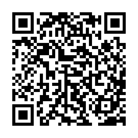 QR code for TOP381