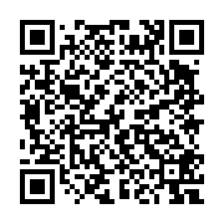 QR code for TOY408