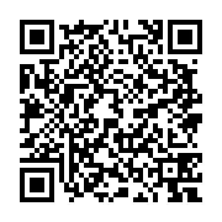 QR code for TOY4789