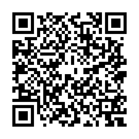 QR code for TOY5507