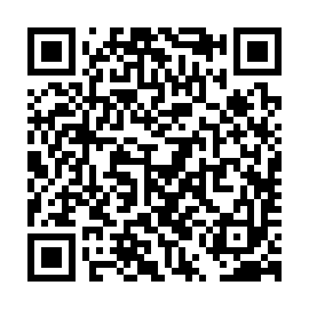 QR code for TUB393