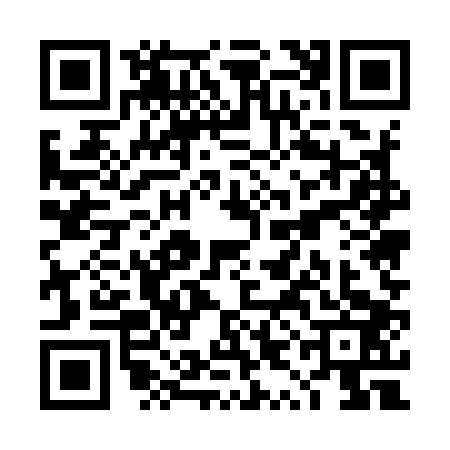 QR code for TYE9038