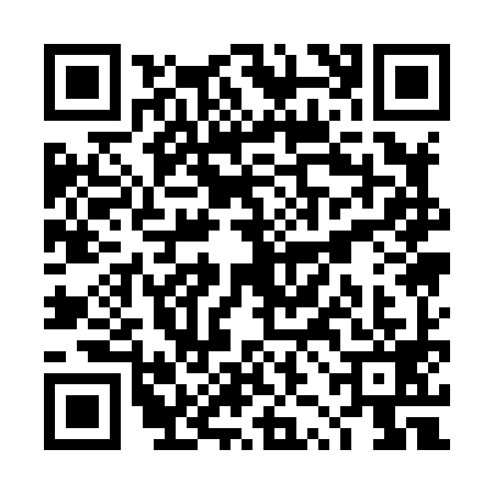 QR code for TZA8993