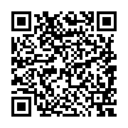QR code for TZN9933