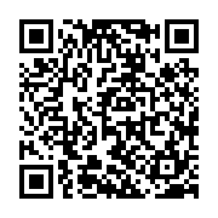 QR code for UAH234