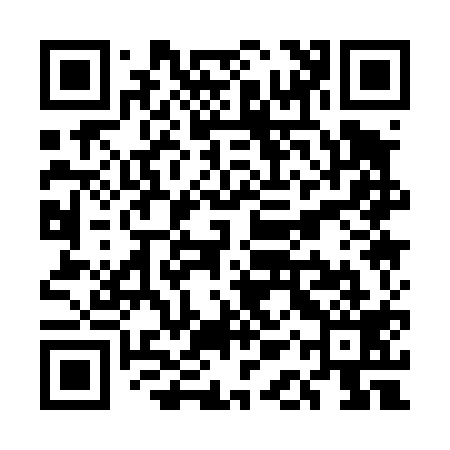 QR code for UAQ419