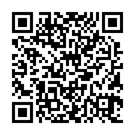 QR code for UDE265