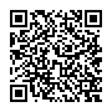 QR code for UDE5234