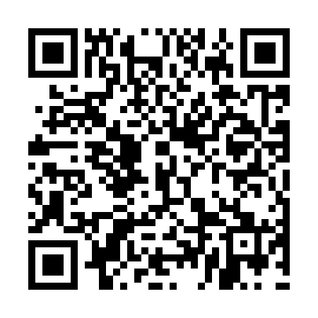 QR code for UDE961