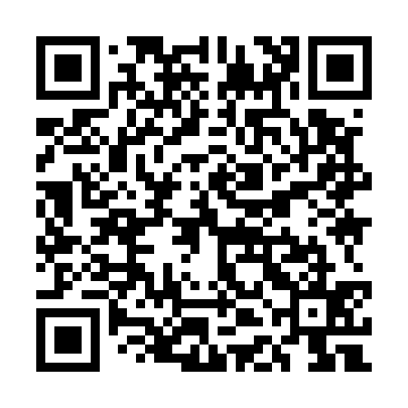 QR code for UDI535