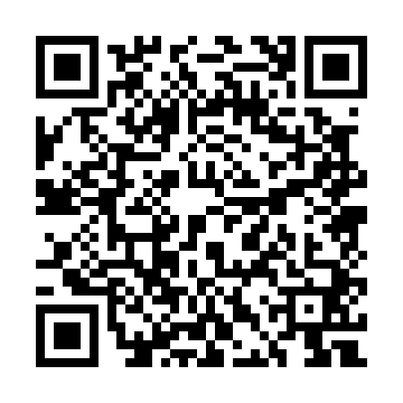 QR code for UDP0409