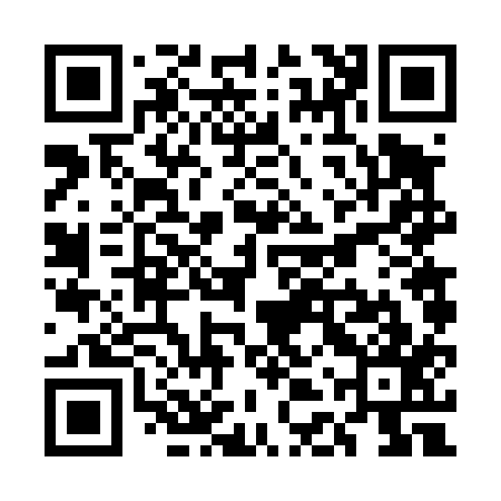 QR code for UDV417
