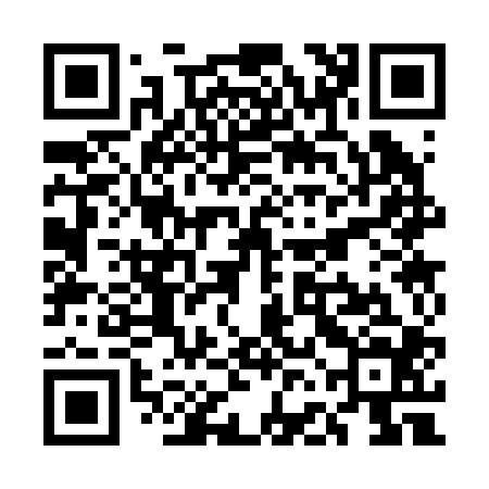 QR code for UFC204
