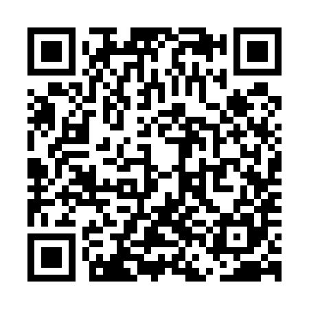 QR code for UFC585