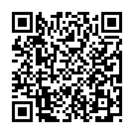 QR code for UFO2994