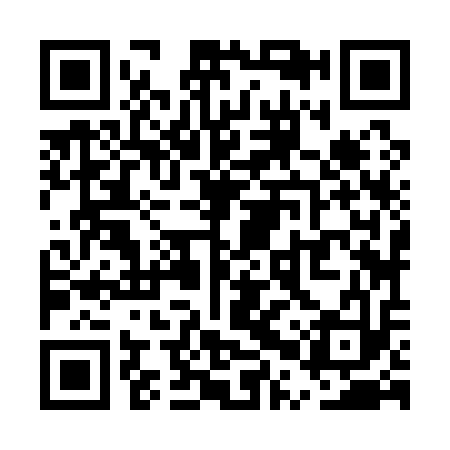 QR code for UPZ113