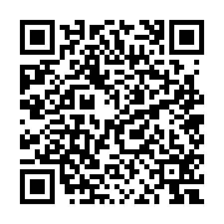 QR code for VBG3161