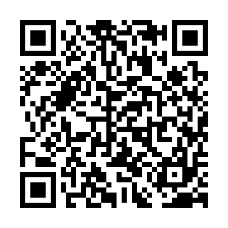 QR code for VEI317