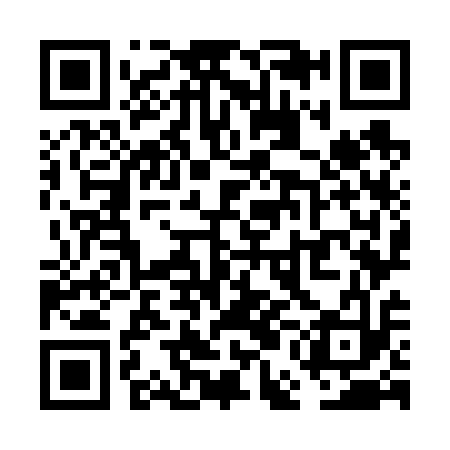 QR code for VEO613