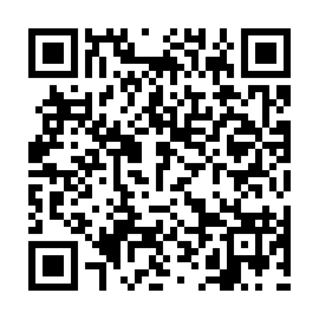 QR code for VHI393