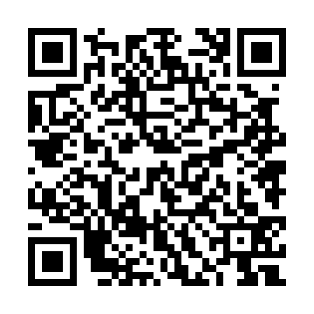QR code for VHN0338