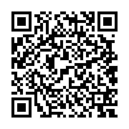 QR code for VIF0203