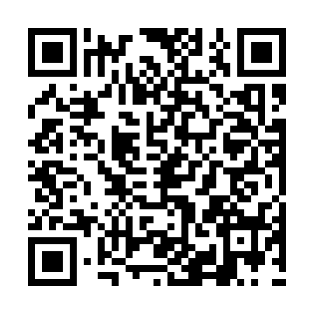 QR code for VIN1382
