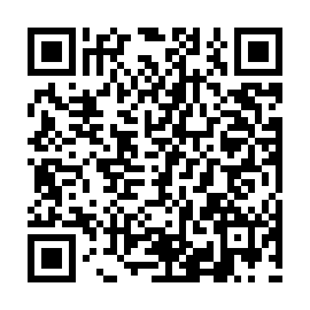 QR code for VIN8420