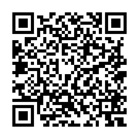 QR code for VIQ9498