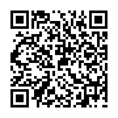 QR code for VIU338