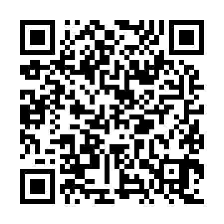 QR code for VIV981