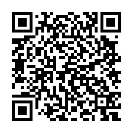 QR code for VIZ033