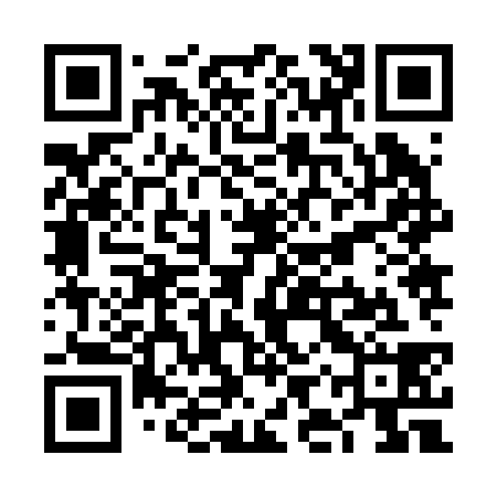 QR code for VIZ238