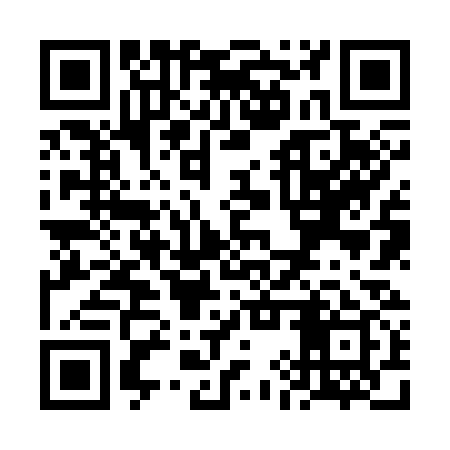 QR code for VIZ339