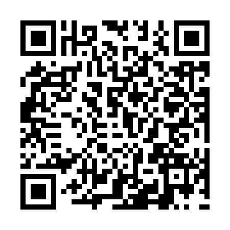 QR code for VIZ9438