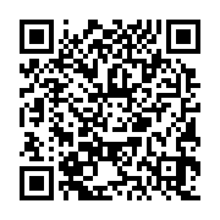 QR code for VJE333
