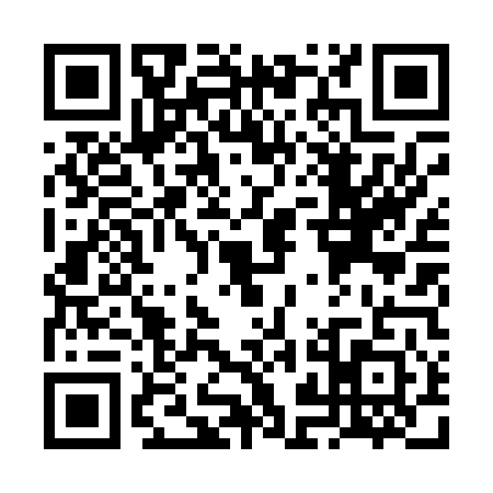 QR code for VJL0419