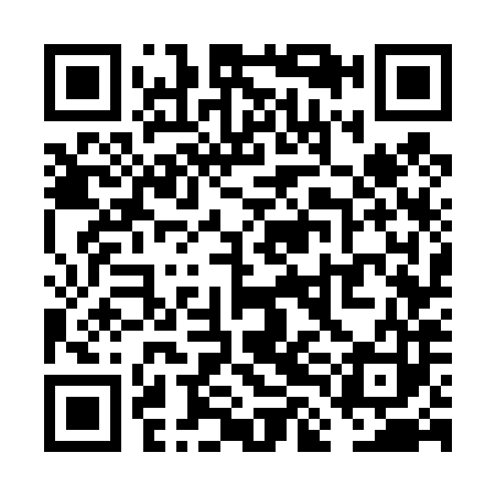 QR code for VLG483
