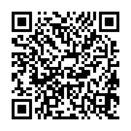 QR code for VNG290