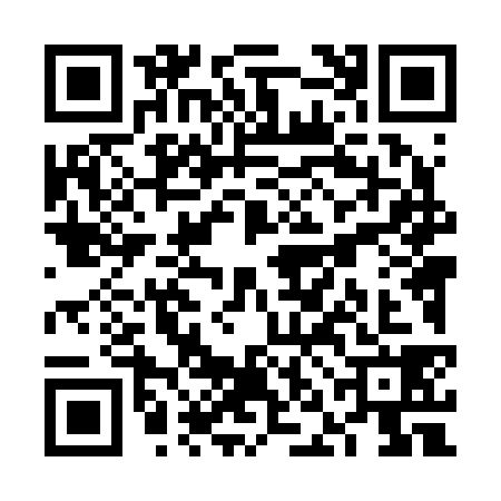 QR code for VNL2381